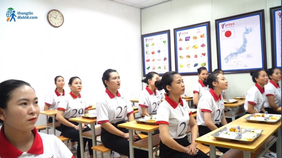 Dựa trên trình độ học vấn và kinh nghiệm