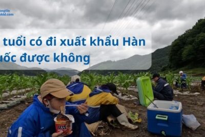 43 tuổi có đi xuất khẩu Hàn Quốc được không?