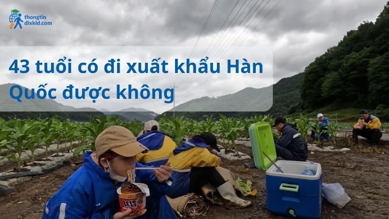 43 tuổi có đi xuất khẩu Hàn Quốc được không?