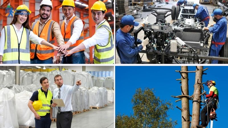 Các ngành nghề khi xuất khẩu lao động Đức