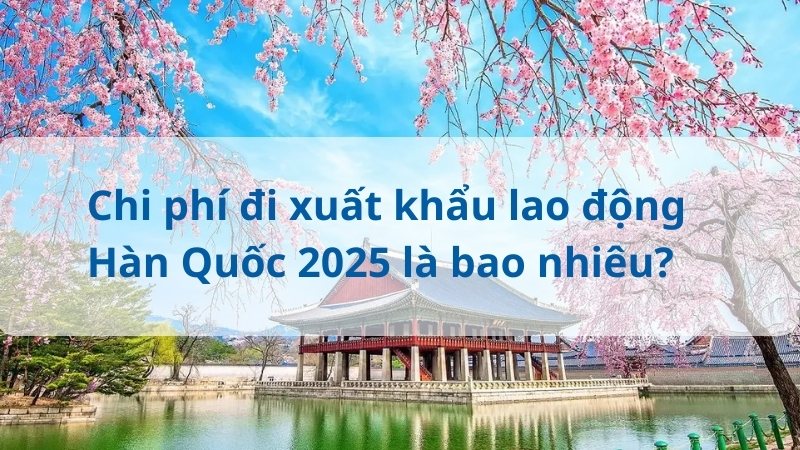 Chi phí đi xuất khẩu lao động Hàn Quốc 2025
