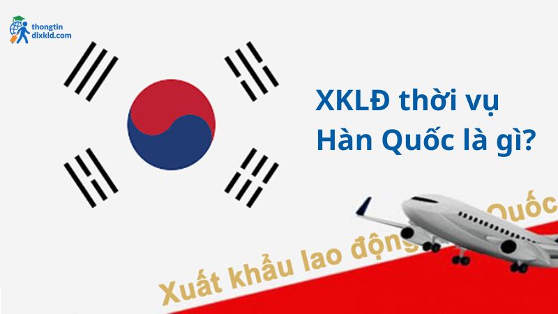 Xuất khẩu lao động Hàn Quốc thời vụ 2025: Điều kiện và chi phí