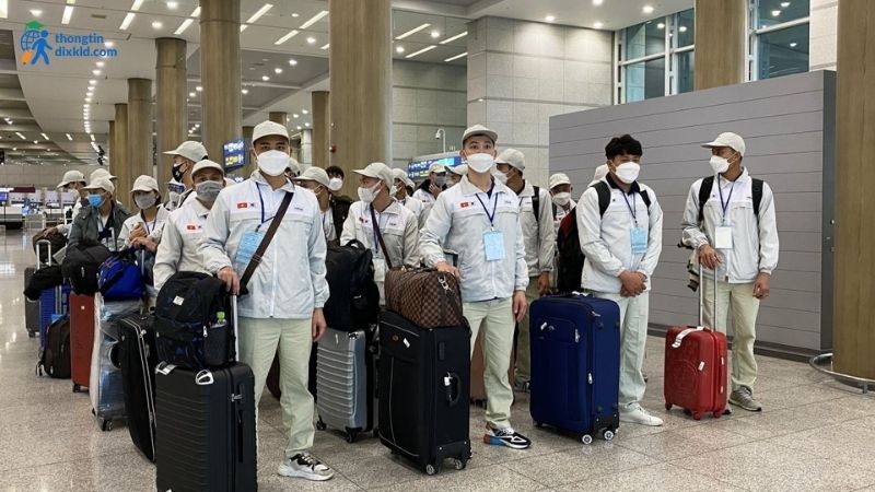 Cách để tiết kiệm chi phí khi đi xuất khẩu lao động Hàn Quốc