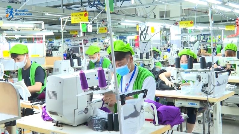 Chính sách mở cửa lao động sau đại dịch
