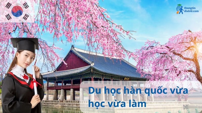 Du học Hàn Quốc vừa học vừa làm 2025: Chi phí, Điều kiện, Cơ hội