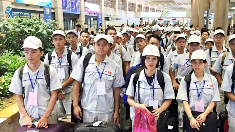 Thị trường ổn định, nhu cầu tuyển dụng cao
