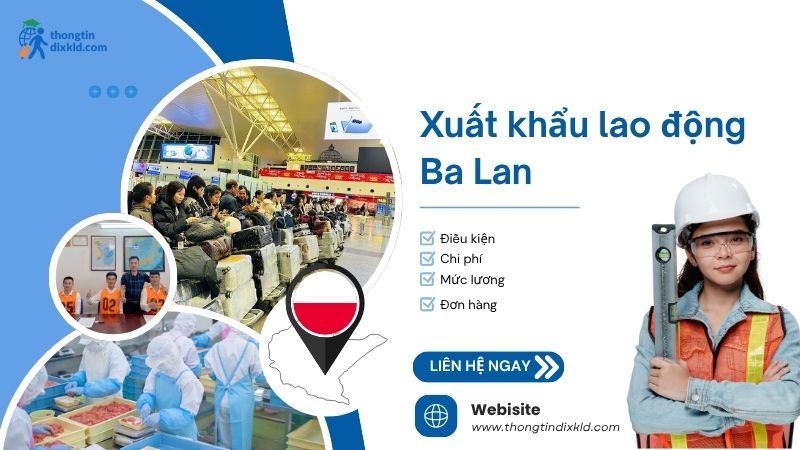 Xuất khẩu lao động Ba Lan 2025: Điều kiện, chi phí và mức lương