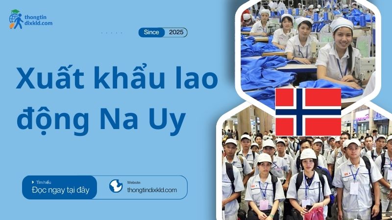 Xuất khẩu lao động Na Uy: Cơ hội lương cao và điều kiện mới nhất 2025