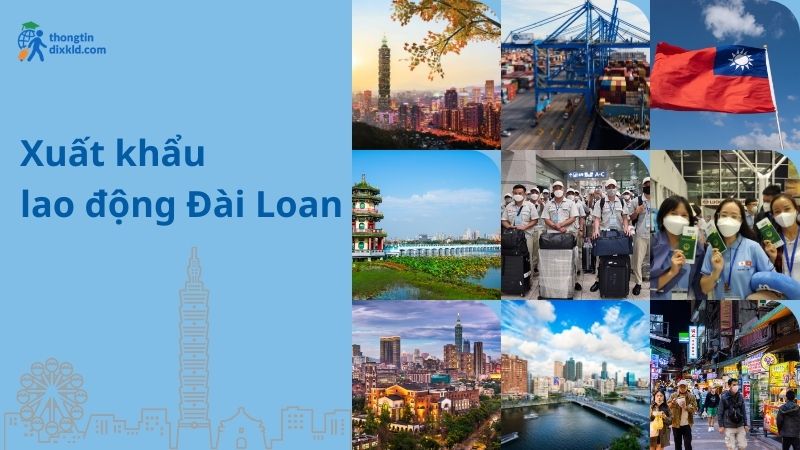 Xuất khẩu lao động Đài Loan 2025 có gì mới: Điều kiện và chi phí